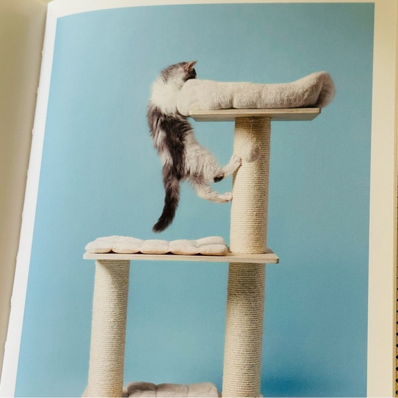 For Cats Only Pascale Weber Hatje Cantz Hardcover Cat Lovers Gift Book - Picture 10 of 13